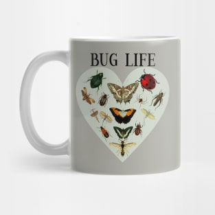 Entomology / Bug Lover /Entomologists / Bug Life Mug